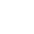 gemini-svg (2)