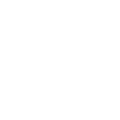 gemini-svg (3)
