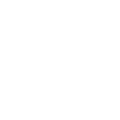 gemini-svg (4)