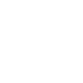 gemini-svg (5)