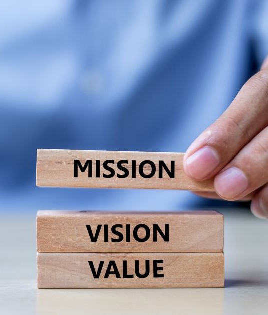 vision
