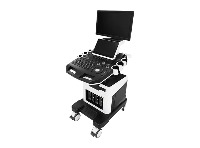 wego018